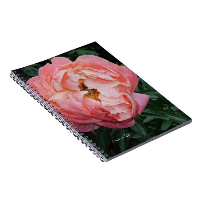 Big Bold Pink Peony Notizblock (Rechte Seite)