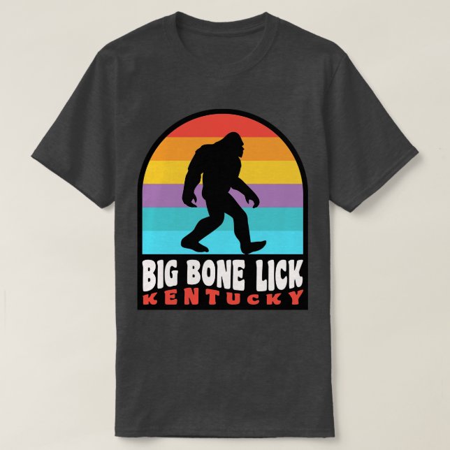 Big Bone Lick Staat Park Kentucky Bison T-Shirt (Design vorne)