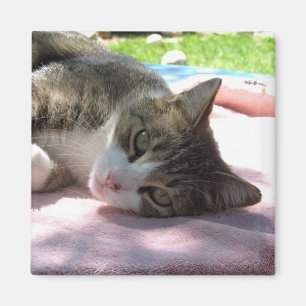 Big Boy auf Tischtennis Magnet