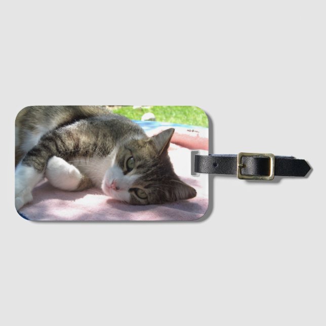 Big Boy Cat auf dem Tisch Gepäckmarke Gepäckanhänger (Vorderseite (Horizontal))