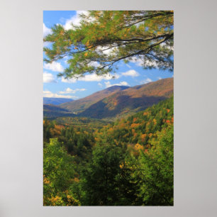 Big Branch Wilderness Vermont Poster