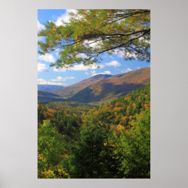 Big Branch Wilderness Vermont Poster (Vorne)