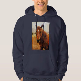 Big Braxton Hoodie Sweatshirt