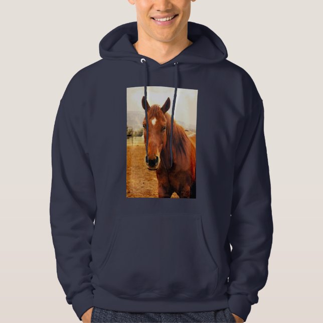 Big Braxton Hoodie Sweatshirt (Vorderseite)