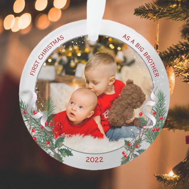 Big Bro 1. Weihnachtsklassische Silver Pflanze Rah Ornament (Von Creator hochgeladen)
