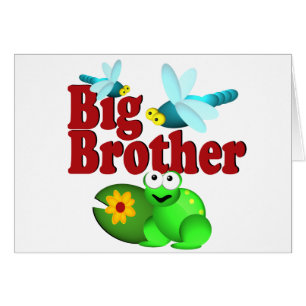 Big Brother Dragonfly