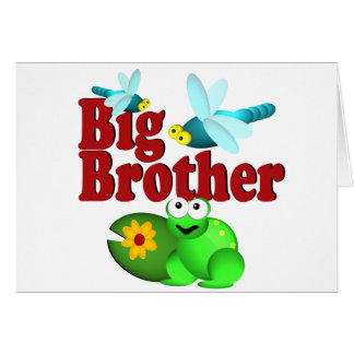 Big Brother Dragonfly