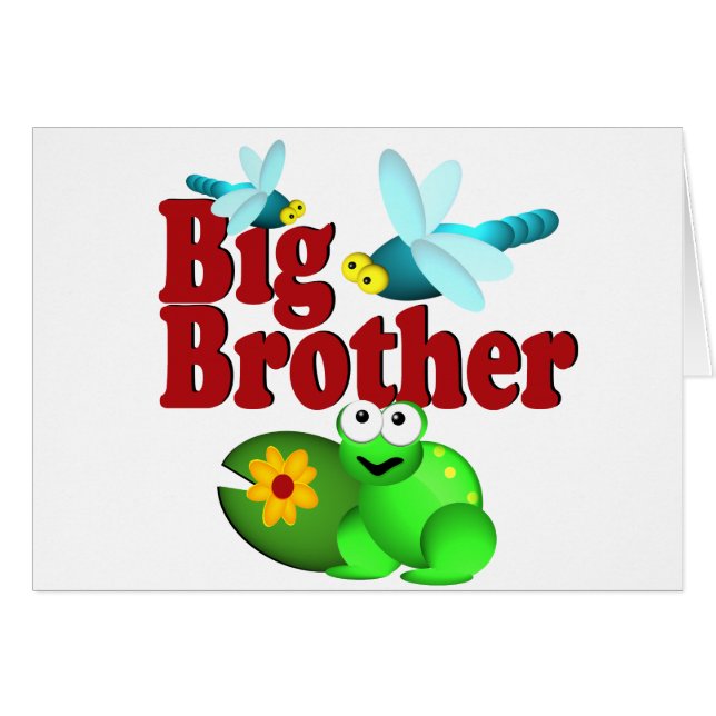 Big Brother Dragonfly (Vorderseite (Horizontal))