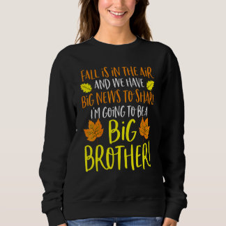 Big Brother Fall Pregnancy Announcemen Autumn Baby Sweatshirt