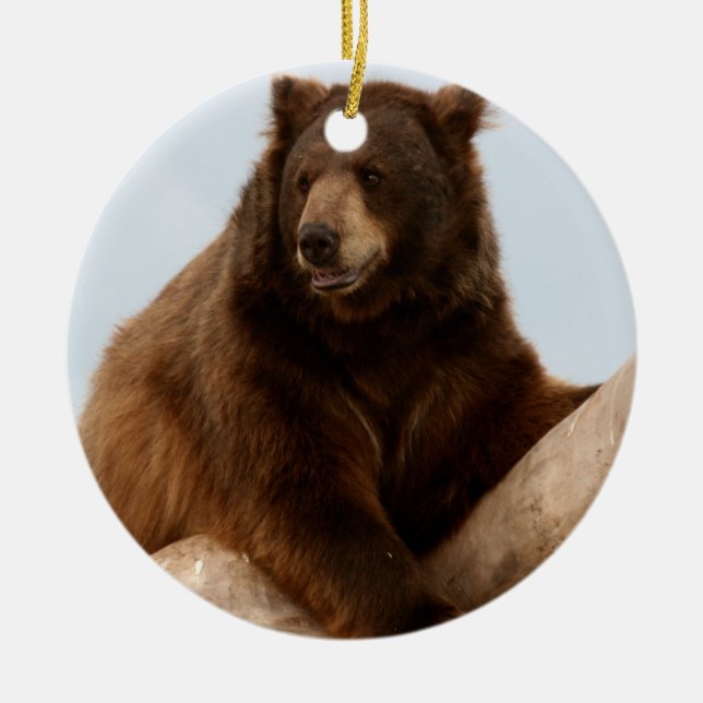 Big Brown Bear Keramikornament (Vorne)