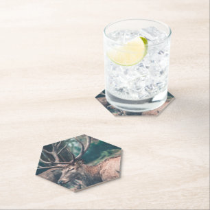 Big Brown Buck Deal mit großen Antlern Untersetzer