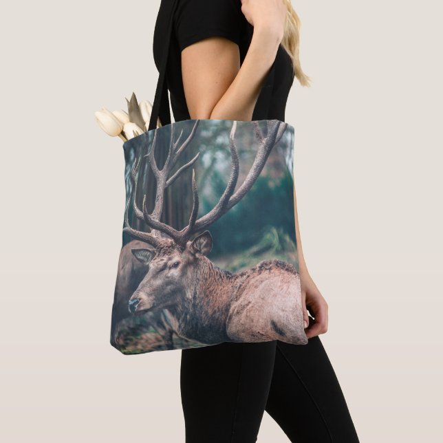 Big Brown Buck Deer mit großen Antlern (Von Nahem)