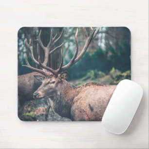 Big Brown Buck Deer mit großen Antlern Mousepad