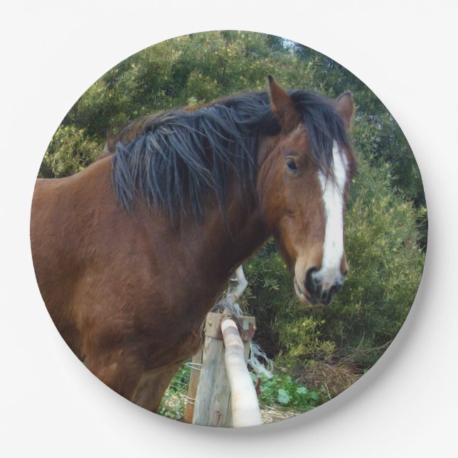 Big Brown Clydesdale Pferd, Pappteller (Vorderseite)