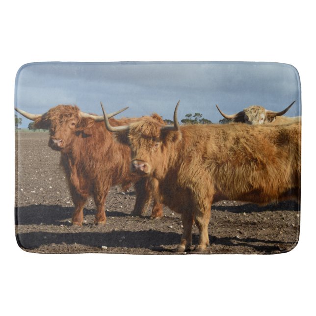 Big Brown Highland Cow, Memory Foam Bathmat Badematte (Vorderseite)
