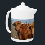 Big Brown Highland Cows,<br><div class="desc">Vorgestellt sind Big Brown Highland Kühe.</div>