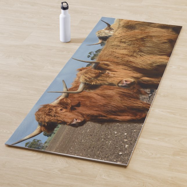 Big Brown Highland Cows, Yoga Mat, Yogamatte (Beispiel)