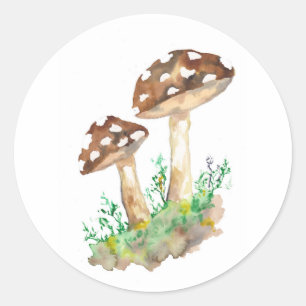 Big Brown Mushrooms Runder Aufkleber