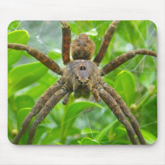 Big Brown Spider Mousepad (Vorne)