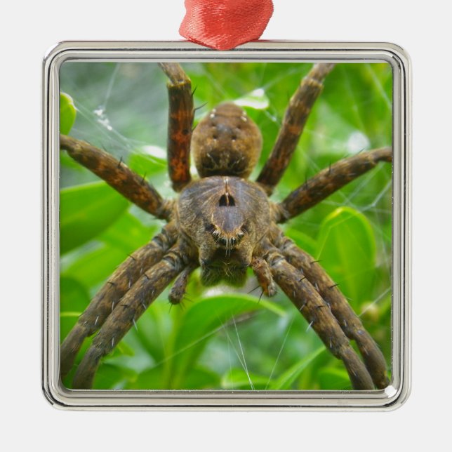 Big Brown Spider Ornament Aus Metall (Vorne)