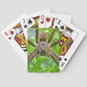 Big Brown Spider Spielkarten