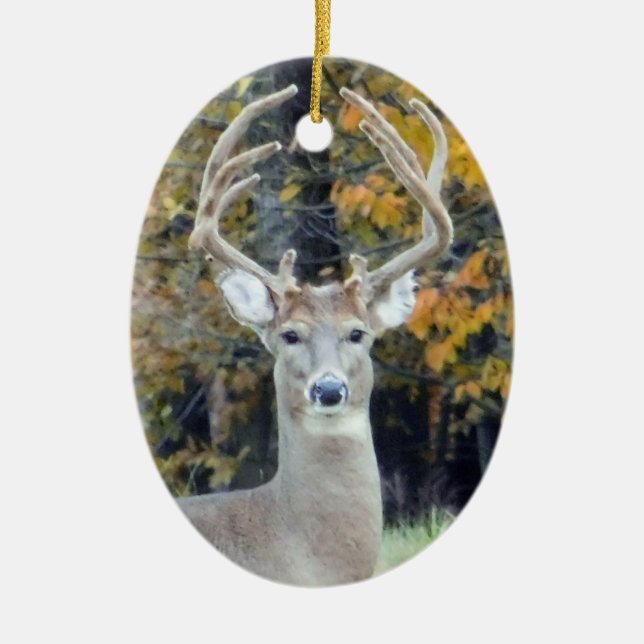 Big Buck Antlers Ornament (Vorne)