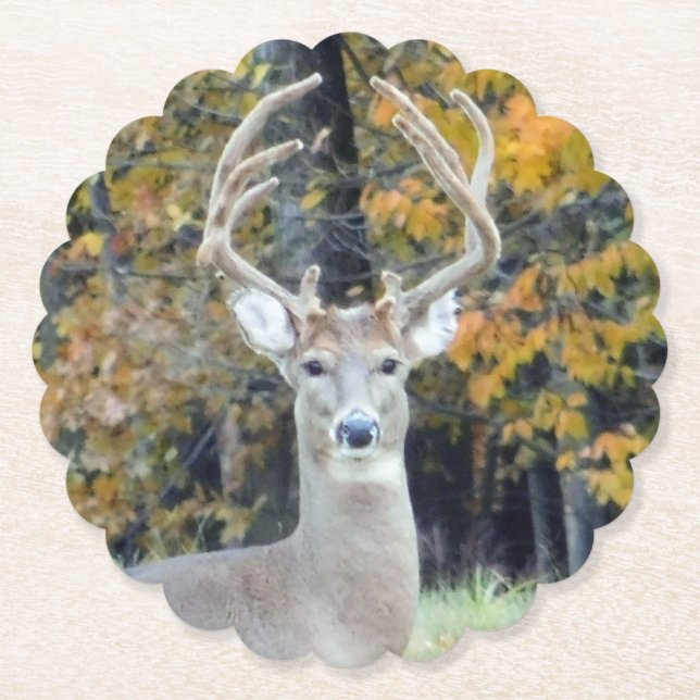Big Buck Antlers Untersetzer (Vorderseite)