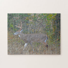Big Buck Deer in Texas Wild Animal Puzzle