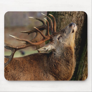 Big Buck Mousepad