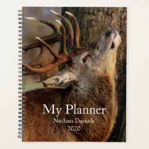 Big Buck Planer