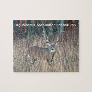 Big Buck, Shenandoah National Park Puzzle