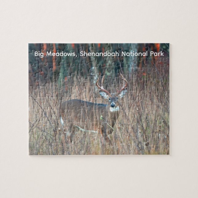 Big Buck, Shenandoah National Park Puzzle (Horizontal)