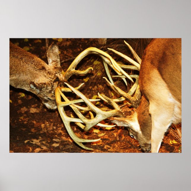 Big Bucks Battle Poster (Vorne)