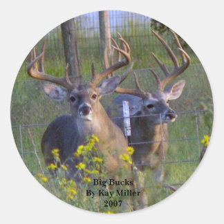 Big Bucksby Kay Miller2007 Runder Aufkleber