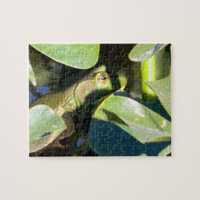 Big Bullfrog Puzzle (Horizontal)