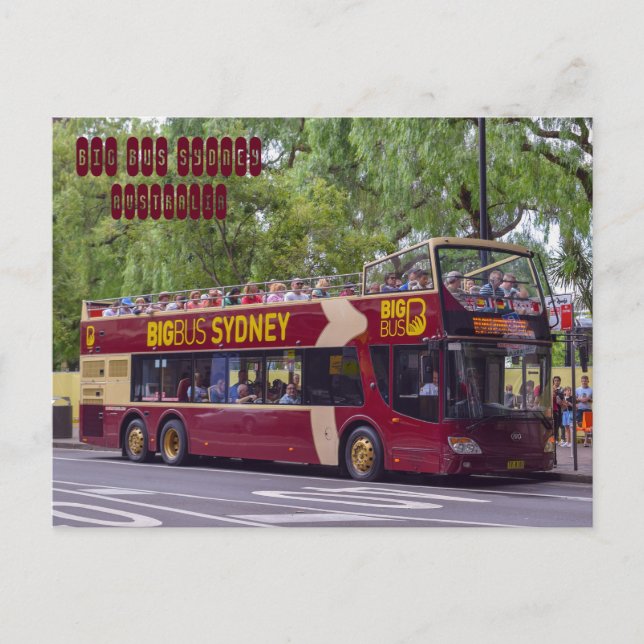Big Bus Sydney Postkarte (Vorderseite)