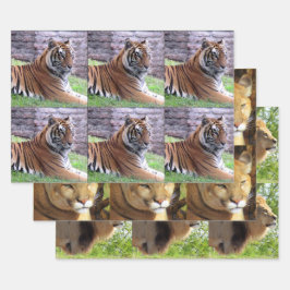 Big Cat 3 Design Pack - Jedem Anlass Geschenkpapier Set