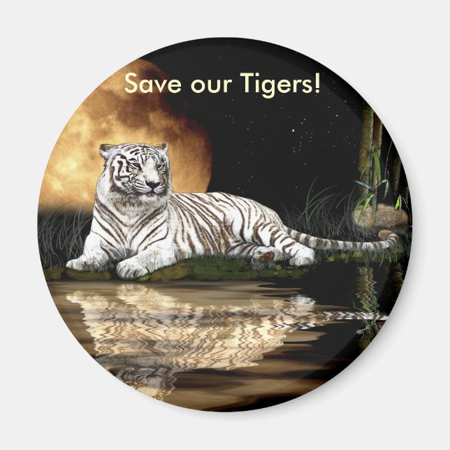 BIG CAT gefährdete Arten Magnet (Vorne)