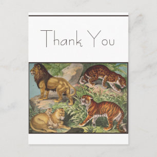 Big Cat Lions Tiger, Leoparden, Tiere drucken Postkarte