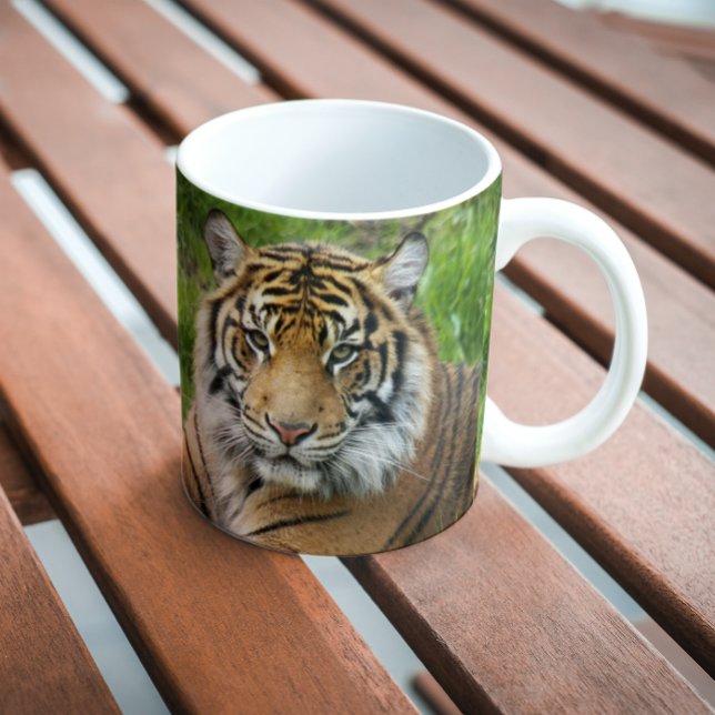 Big Cat Sumatran Tiger Foto Kaffeetasse (In Situ Bench)