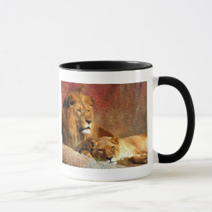 Big Cats - 6 Tasse