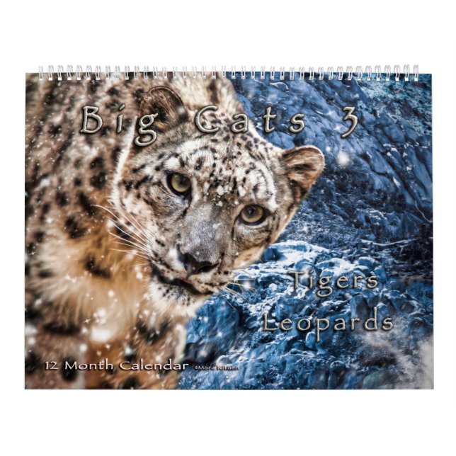 Big Cats Art Calendar Snow Leopard Jaguar Tigers Kalender (Titelbild)