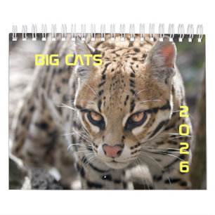 Big Cats Calendar 2025 Kalender