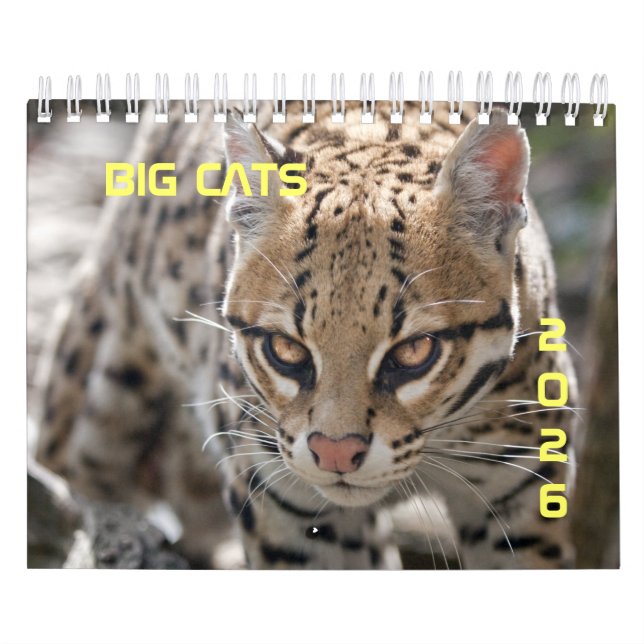 Big Cats Calendar Kalender (Titelbild)