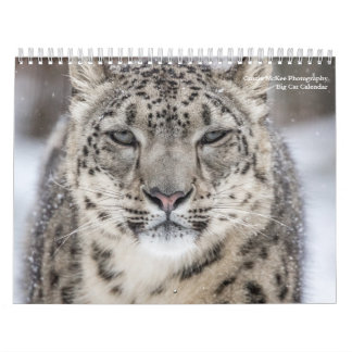 Big Cats Calendar Kalender