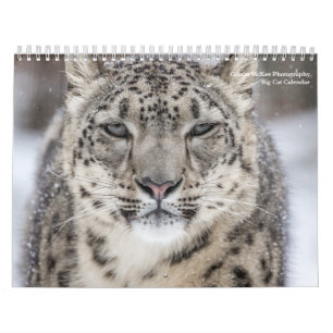 Big Cats Kalender