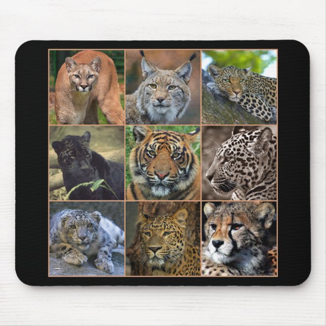 Big cats mousepad (Vorne)