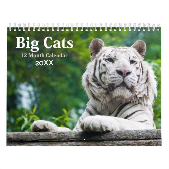 Big Cats Wildlife Calendar 2021 Kalender (Titelbild)