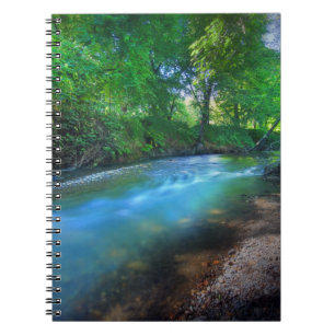 Big Chico Creek, Chico Staat University Notizblock