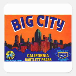 Big City Pears Quadratischer Aufkleber